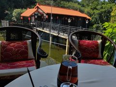 -侨美·唐荔园·40年地道粤菜