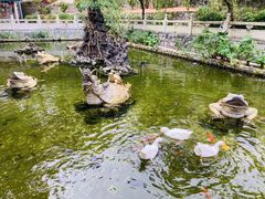 -国恩寺