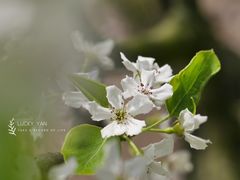 -上海辰山植物园