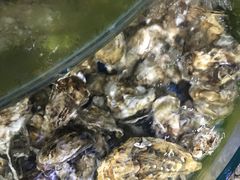 -晓伟海鲜家常菜