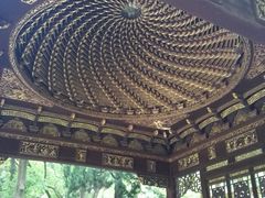 -汇龙潭