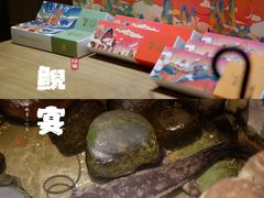 ww鱼酥-印象鲵宴·张家界地标美食名片(溪布街店)