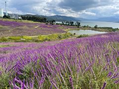 -华侨城阳宗海海景温泉