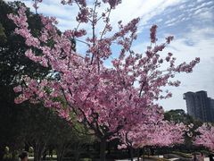 -新江湾城公园