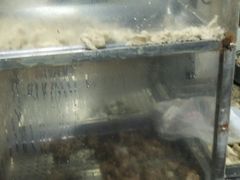 -江南红鱼汤(洋中花园店)
