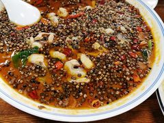 -普集烧鸡(新店)