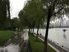-天鹅湖体育公园