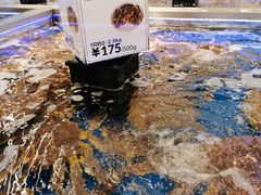 -盒马X会员店(上海森兰商都店)