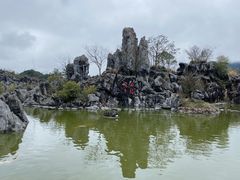-千岛湖石林