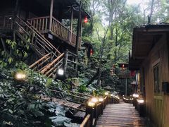 -天门沟九州驿站树上汤泉