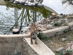 -石家庄市动物园