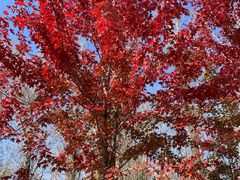 -长春世界雕塑园冰雪艺术天地