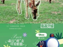 -观澜湖生态运动公社