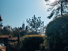 -崇阳三特浪口温泉