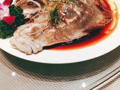 清蒸多宝鱼-大谊园