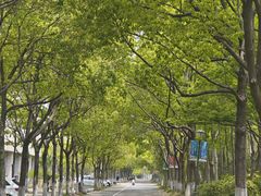 -上海海事大学(临港校区)