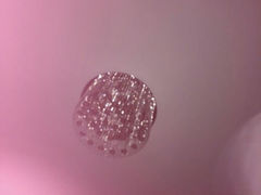 android_upload_pic-新疆尊茂银都酒店