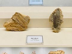 -辽宁古生物博物馆