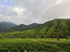 -井空里大峡谷