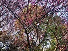 -杭州城北体育公园