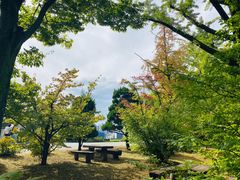 -三个渔夫蒸汽海鲜(南磨房路店)