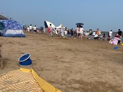-碧海金沙