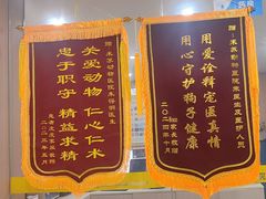 -米苏动物医院·犬猫专科·骨科外科内窥镜