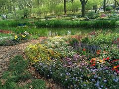 -上海共青森林公园