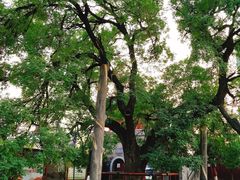 -洛阳周公庙博物馆