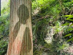 -雁荡山大龙湫景区