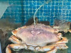 -范饭椰林川湘味海鲜·椰子鸡(三亚湾椰梦长廊店)