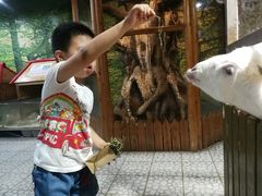 -上海大自然野生昆虫馆(东方明珠·爬宠昆虫探索中心)