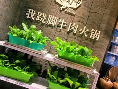 自助调料区-菌子鲜汤野生菌锅