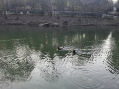 -天目湖涵田半山温泉