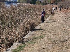 -羊亭河湿地公园