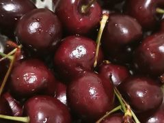 -堤口果品批发市场