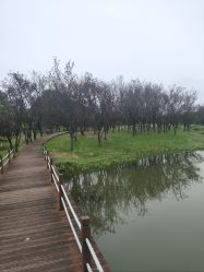 -水八仙生态园