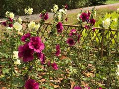 -白塘生态植物园