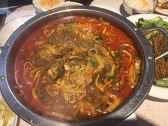 -南宫温泉水世界