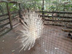 -海南热带野生动植物园