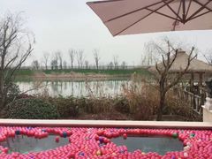 -苏州湾王焰温泉度假酒店