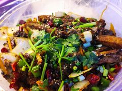 -四川农业大学(雅安校区)