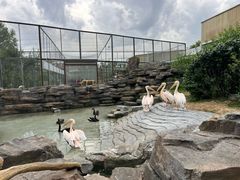 -齐齐哈尔龙沙动植物园