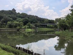 -王借岗森林公园