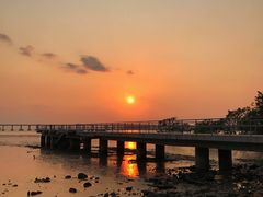 -宝安西湾红树林湿地公园