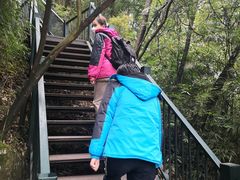 -梦幻奥陶纪景区