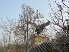 -北京鹫峰国家森林公园