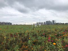 -三圣里·中餐宴请·自助烤肉·烤全羊·柴火鸡(旗舰店)
