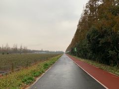 -上海长兴岛郊野公园