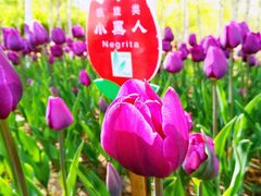 -长春公园(普阳街道)